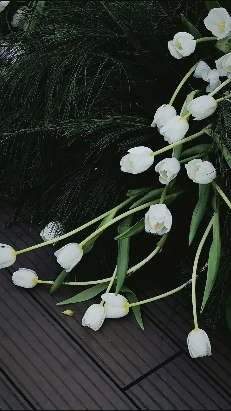 Hình Nền Hoa Tulip Chill - 100 Hình Ảnh Hoài Niệm 27