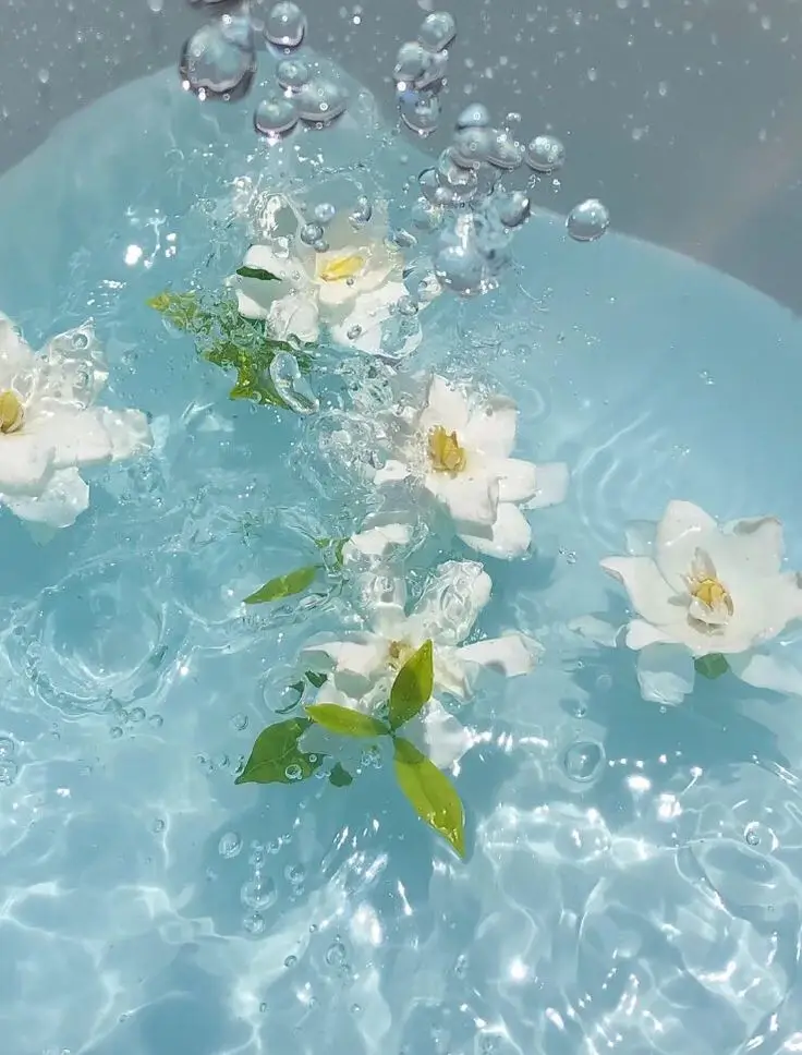 Hình nền điện thoại chill hoa - Không gian thư giãn đầy màu sắc 44