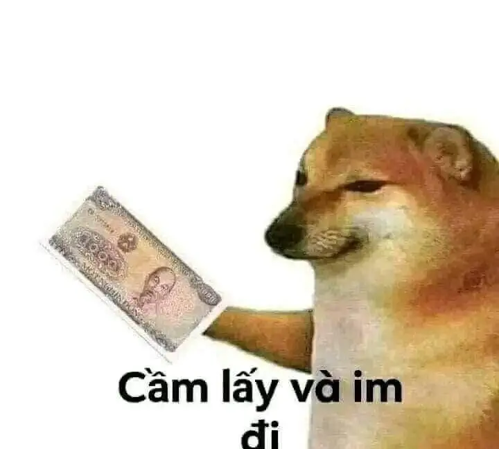 Hình nền điện thoại hài bựa vui nhộn 7