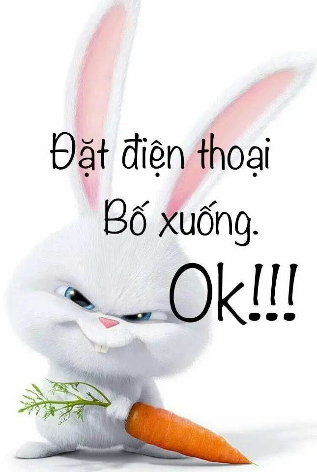 Hình nền điện thoại hài bựa vui nhộn 15
