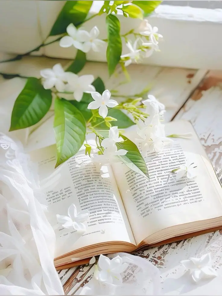 Chiêm ngưỡng hình nền điện thoại hoa nhài đẹp và thanh lịch 57