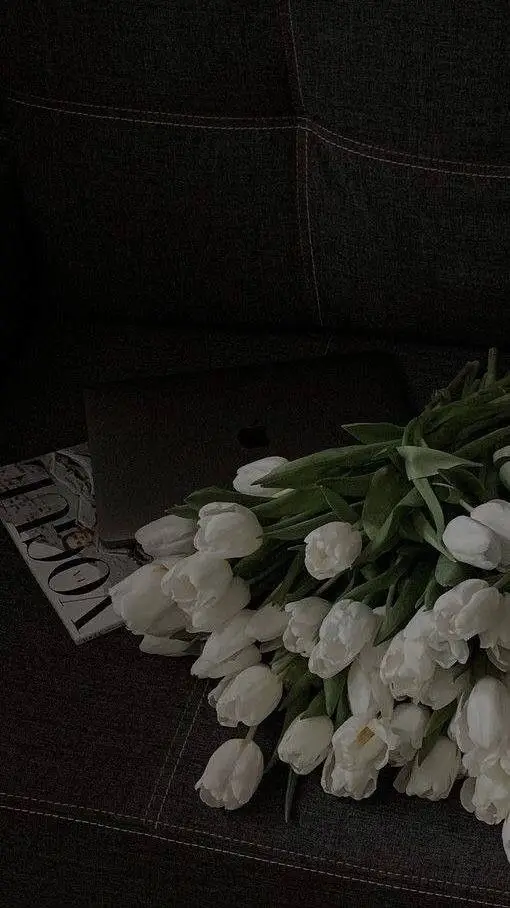 Hình Nền Điện Thoại Hoa Tulip - Bộ Sưu Tập 50 Hình Ảnh 6