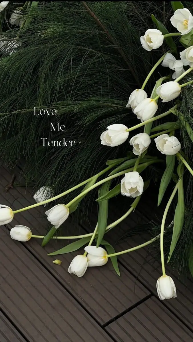 Hình Nền Điện Thoại Hoa Tulip - Bộ Sưu Tập 50 Hình Ảnh 19