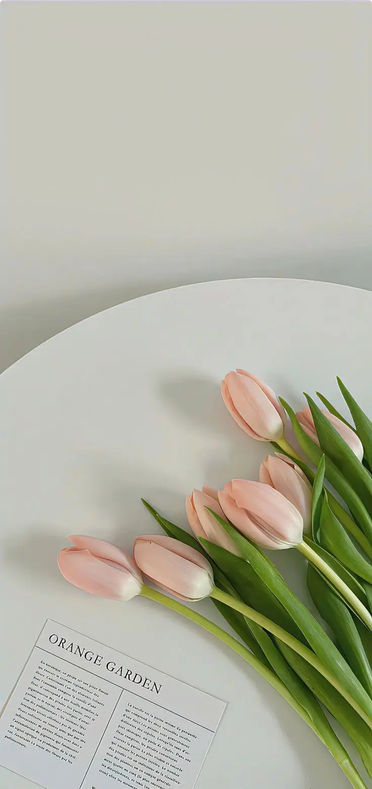 Hình Nền Điện Thoại Hoa Tulip - Bộ Sưu Tập 50 Hình Ảnh 22