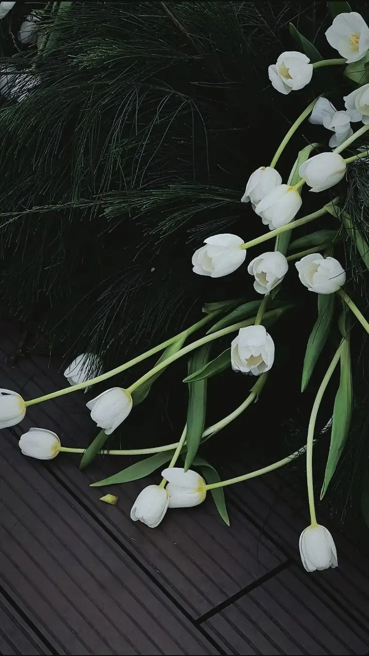 Hình Nền Điện Thoại Hoa Tulip - Bộ Sưu Tập 50 Hình Ảnh 45