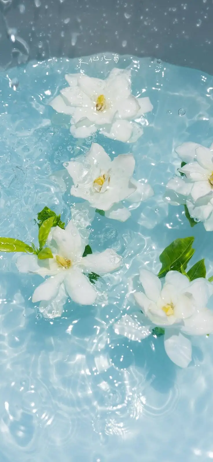 Hình nền điện thoại phong thuỷ cho mệnh Thổ – Mang may mắn đến bạn