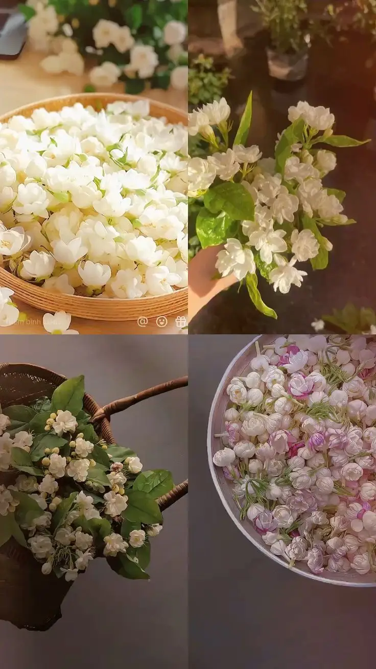 Hình nền điện thoại xinh xắn dành cho bạn gái 33