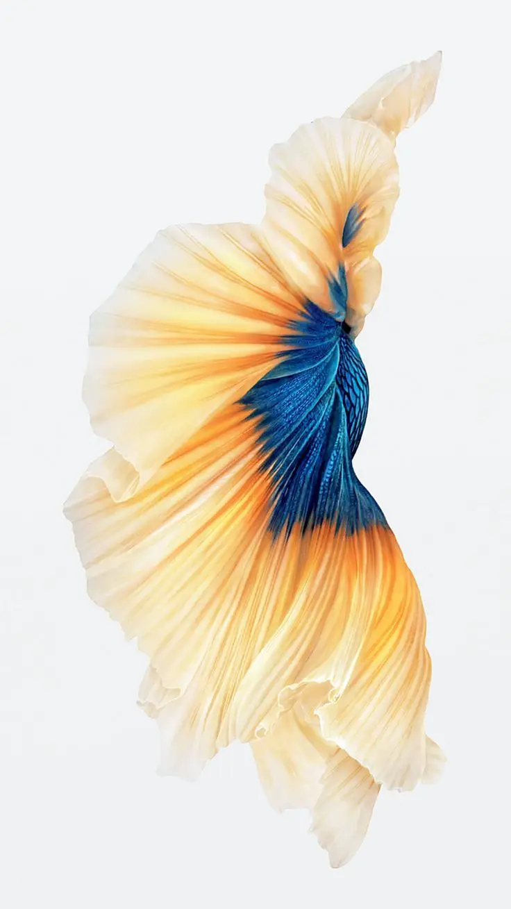 Hình Nền Iphone 6S Plus Thời Thượng 19