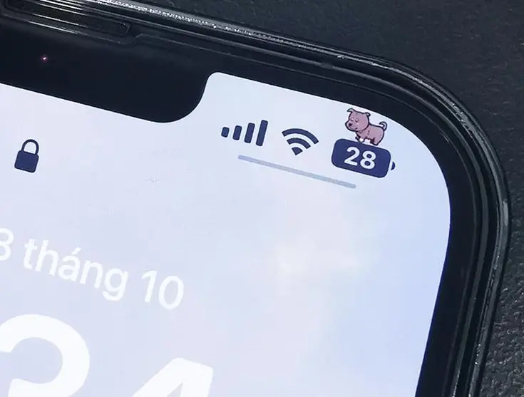 Hình Nền Iphone XS Max Tai Thỏ: Nghiêng Chế Độ Kỳ Diệu 13