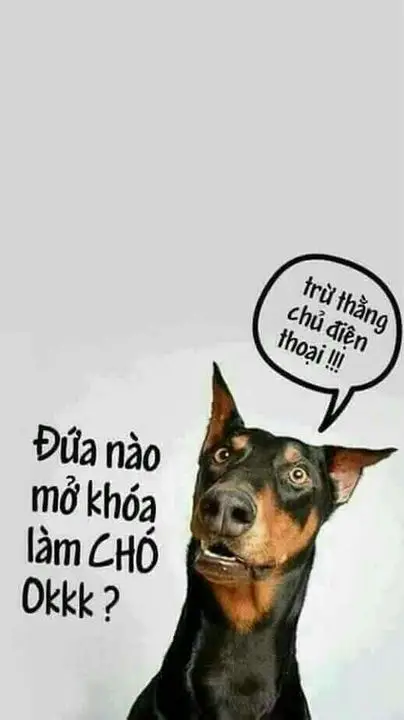 Hình nền màn hình khóa đẹp và cuốn hút 27
