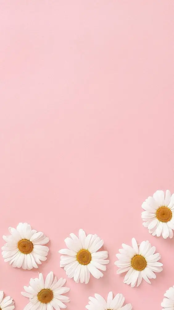 Hình nền màu hồng pastel đẹp và dễ thương cho máy tính và điện thoại 24