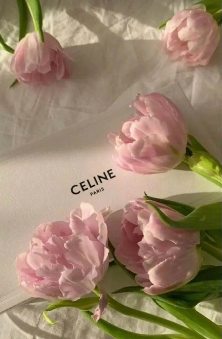 Hình nền màu hồng pastel đẹp và dễ thương cho máy tính và điện thoại 51