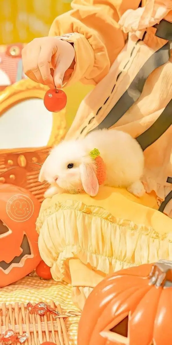 Hình nền Màu Vàng Cute: 50+ Hình Ảnh Tươi Sáng và Xinh Xắn 32