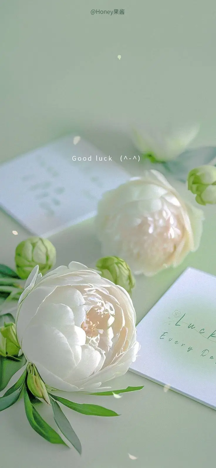 Hình nền màu xanh lá cute - Tươi mới và trẻ trung cho màn hình bạn 29