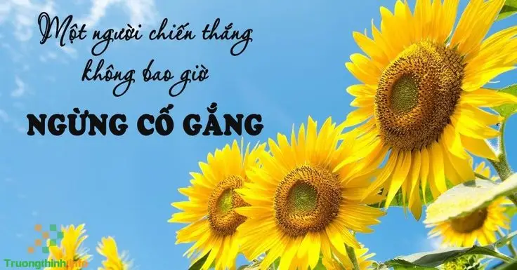 Hình nền may mắn trong học tập tạo động lực cho bạn 14