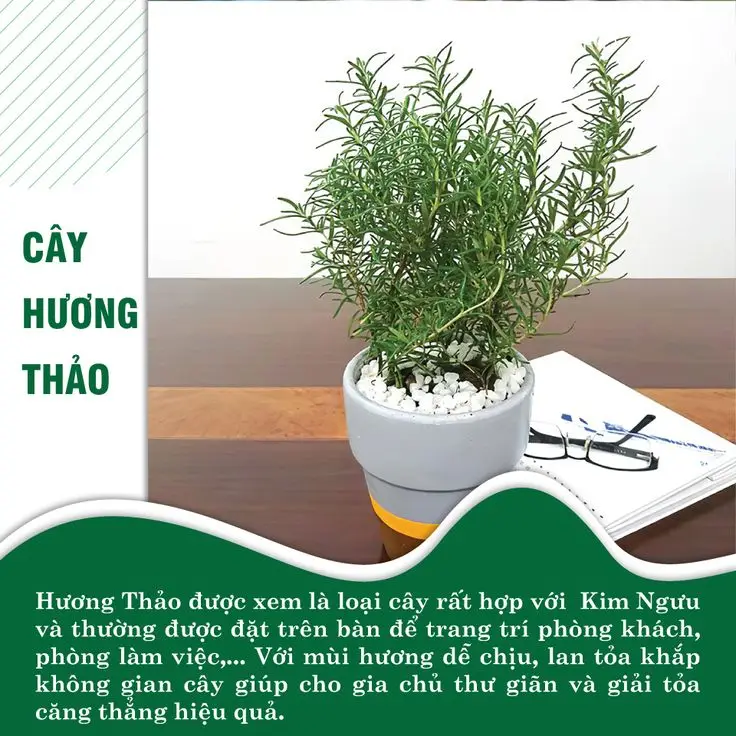Hình nền may mắn trong học tập tạo động lực cho bạn 43