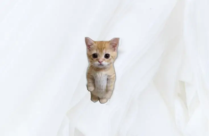 Hình nền máy tính chill lấp lánh giúp thư giãn 5