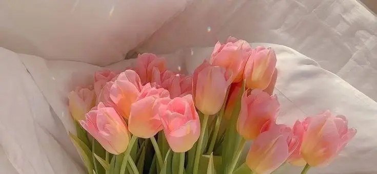 Hình nền máy tính hoa ngập tràn sắc màu 9
