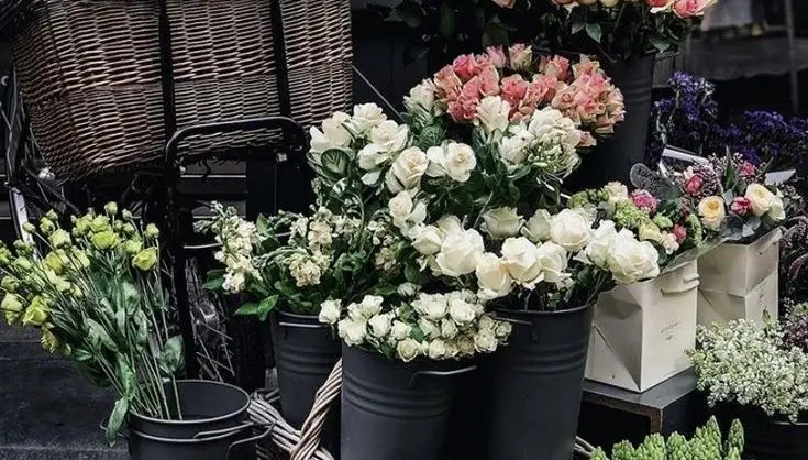 Hình nền máy tính hoa ngập tràn sắc màu 70
