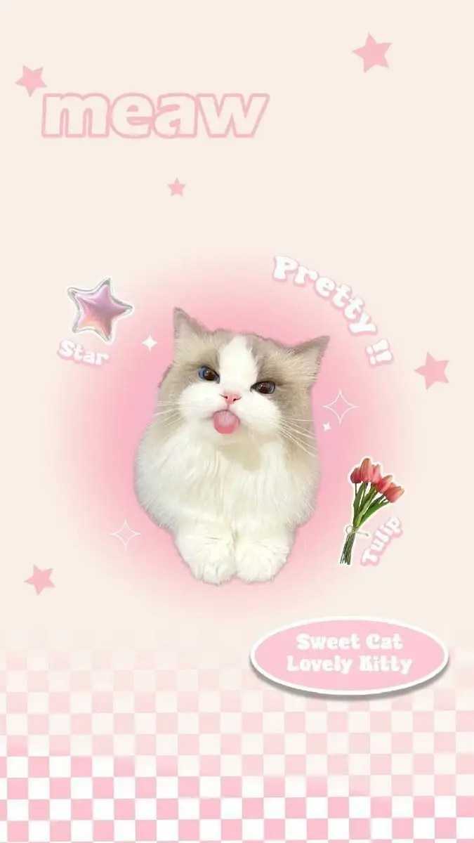 Hình Nền Mèo 3D Cute Dễ Thương
