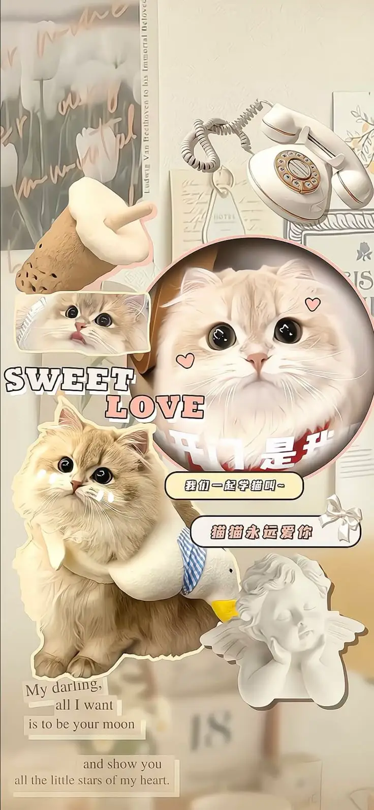 Hình Nền Mèo 3D Cute Dễ Thương 34
