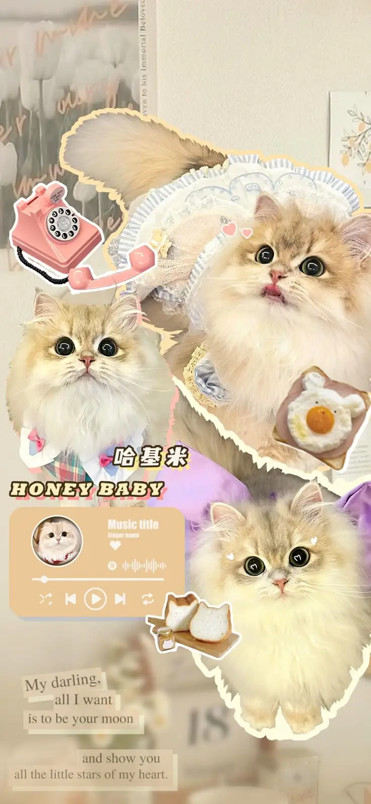 Hình Nền Mèo 3D Cute Dễ Thương 38
