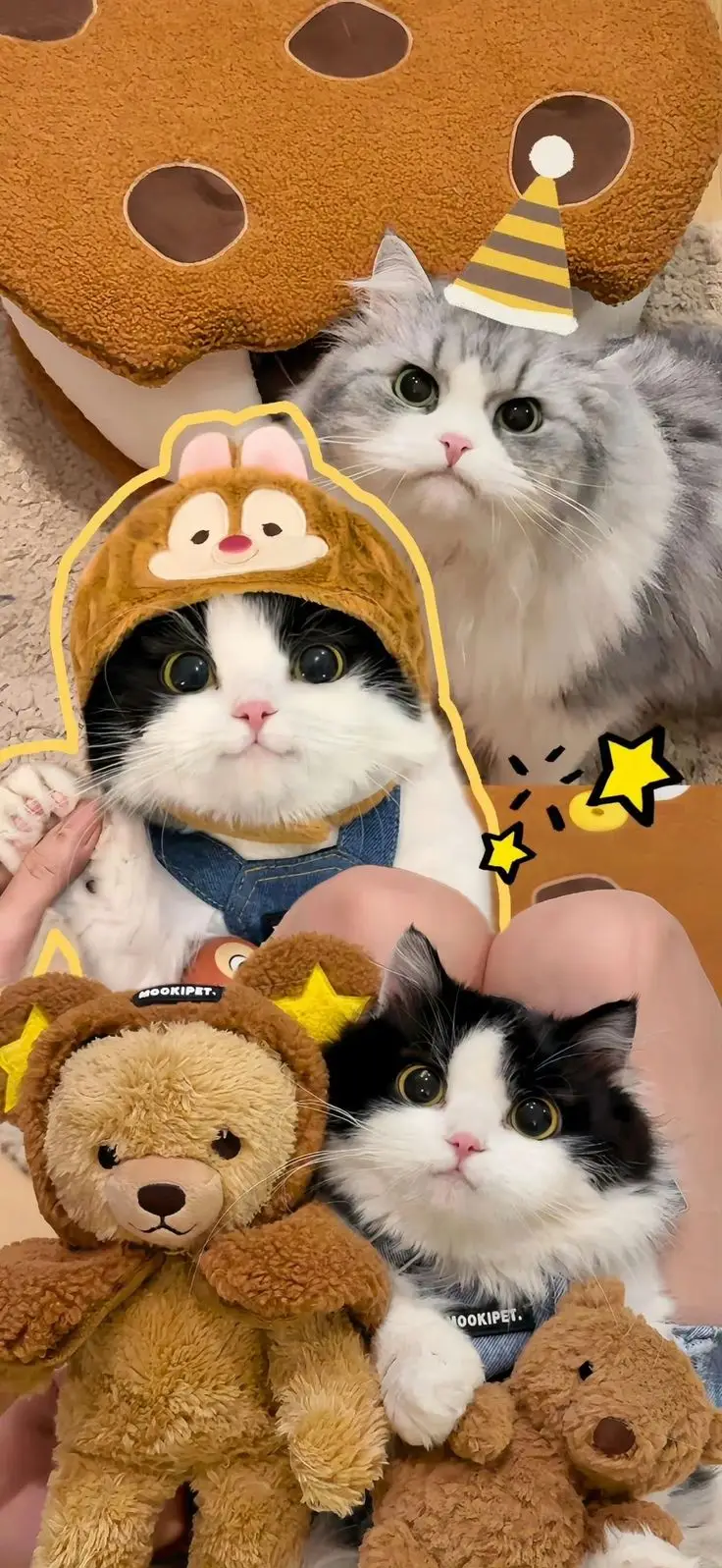 Hình Nền Mèo 3D Cute Dễ Thương 46