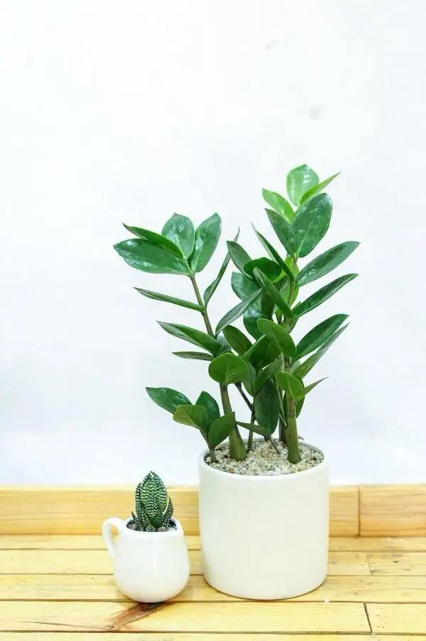 Hình nền phong thủy mệnh Kim - Hình nền hợp phong thủy cho người mệnh Kim 33