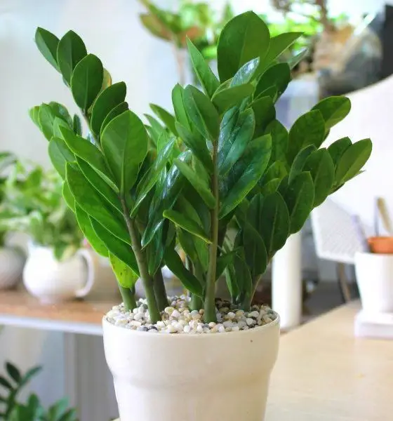 Hình nền phong thủy mệnh Kim - Hình nền hợp phong thủy cho người mệnh Kim 40