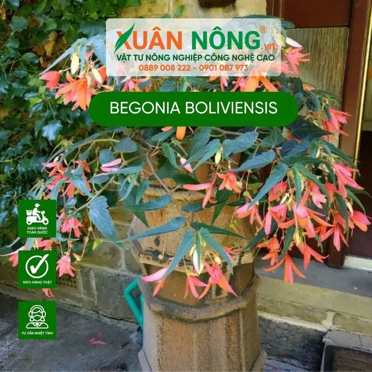Hình nền phong thủy mệnh Kim - Hình nền hợp phong thủy cho người mệnh Kim 60