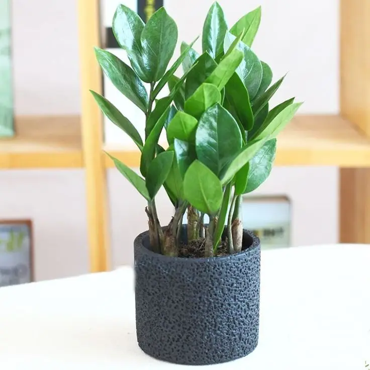 Hình nền phong thủy mệnh Kim - Hình nền hợp phong thủy cho người mệnh Kim 64