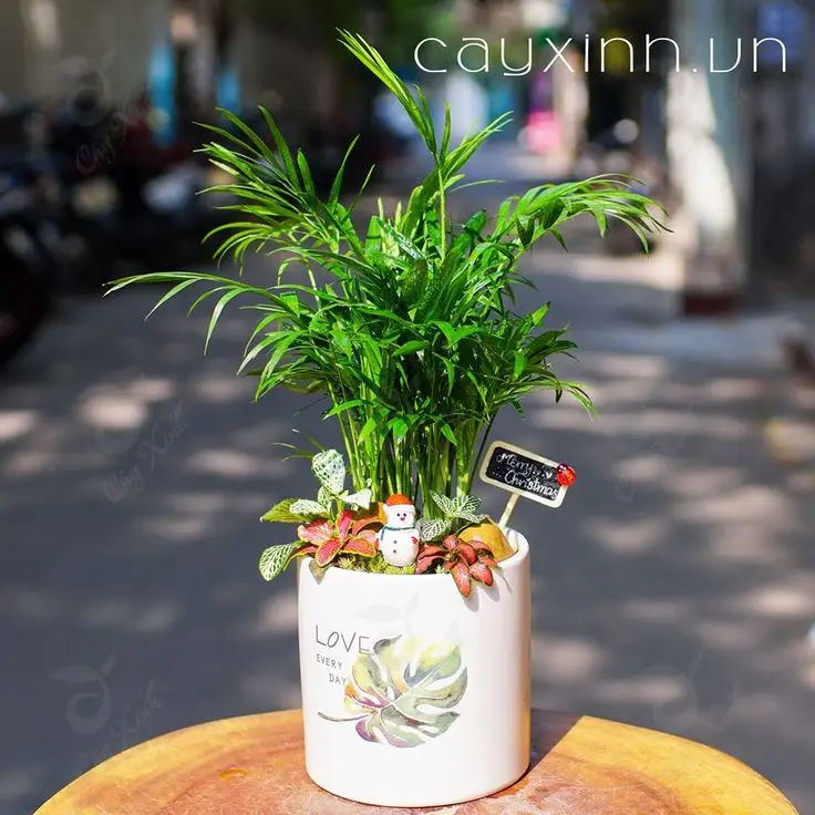 Hình nền phong thủy mệnh Kim - Hình nền hợp phong thủy cho người mệnh Kim 71