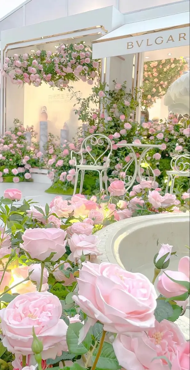 Hình nền Rosé cho điện thoại - Tỏa sáng phong cách 48