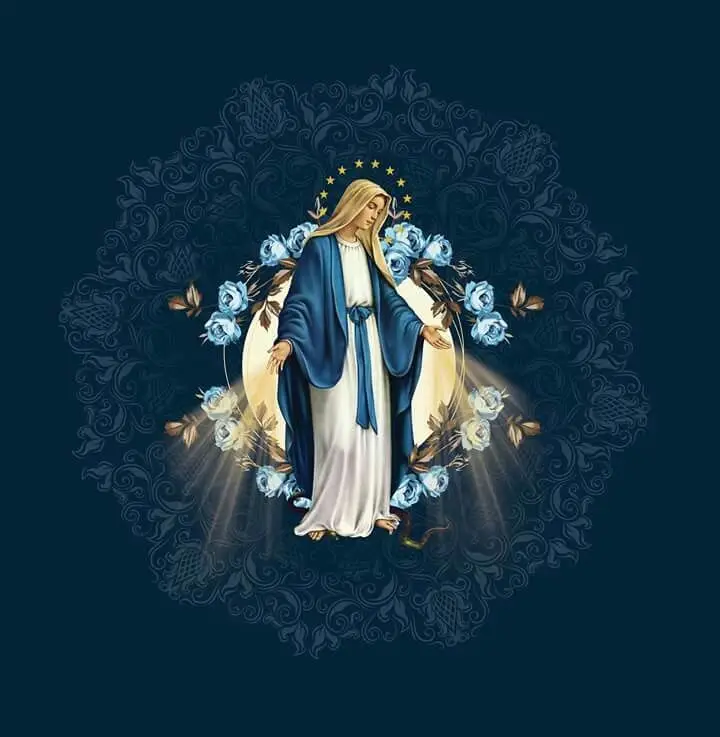 Hình nền đức mẹ maria - Sự thanh tịnh trong từng hình ảnh 50