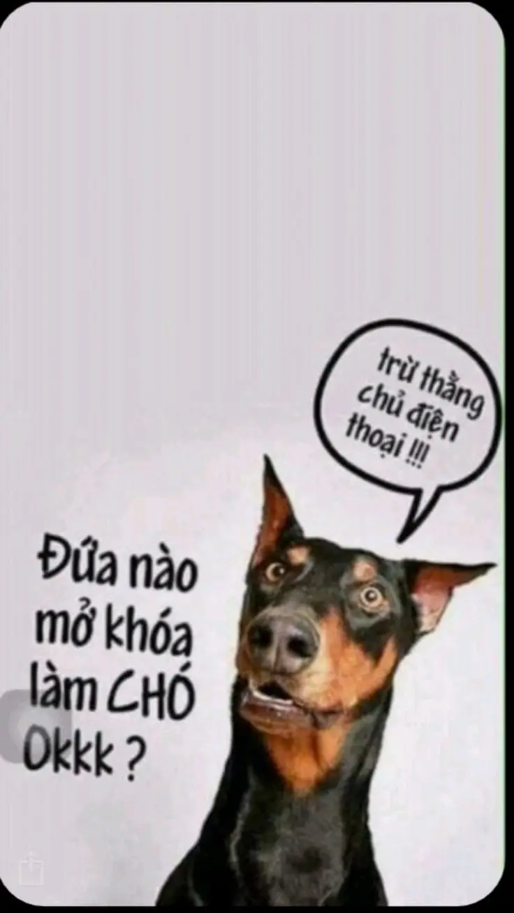 Hình Nền Điện Thoại Bị Vỡ Sáng Tạo 39