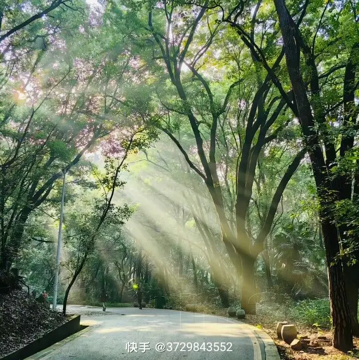 Bộ sưu tập hình nền thiên nhiên cho Zalo - Tự nhiên và giản dị 49