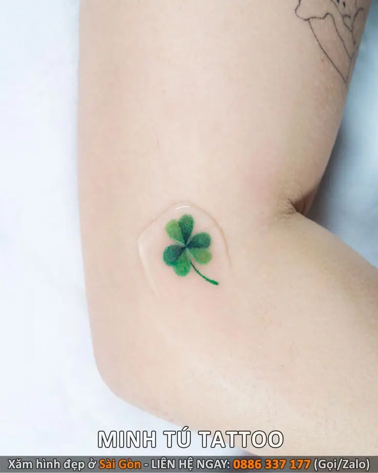 Hình Xăm Cỏ 3 Lá - Biểu Tượng May Mắn và Mẫu Thiết Kế 68