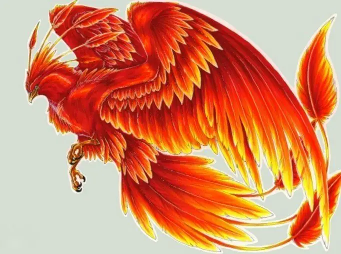 Hình Xăm Phượng Hoàng Lửa Đẹp Nhất Cho Nữ 40