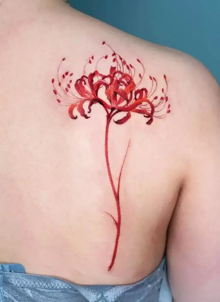 Tattoo Hình Xăm Hoa Bỉ Ngạn - Vẻ Đẹp Mong Manh Nhưng Quyến Rũ 5