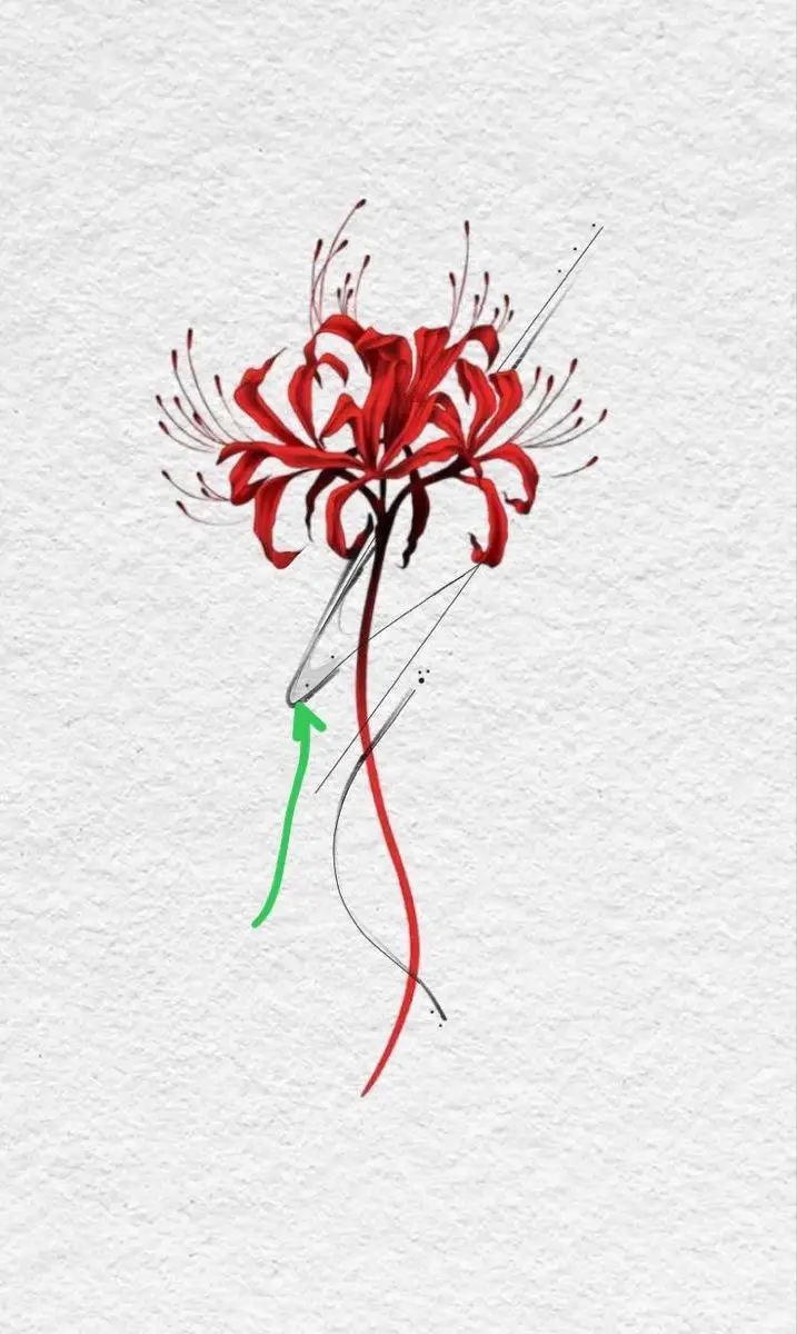 Tattoo Hình Xăm Hoa Bỉ Ngạn - Vẻ Đẹp Mong Manh Nhưng Quyến Rũ 8
