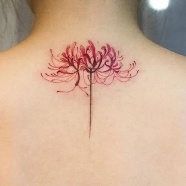 Tattoo Hình Xăm Hoa Bỉ Ngạn - Vẻ Đẹp Mong Manh Nhưng Quyến Rũ 13