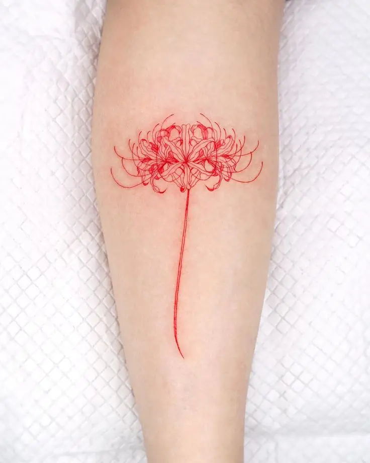 Tattoo Hình Xăm Hoa Bỉ Ngạn - Vẻ Đẹp Mong Manh Nhưng Quyến Rũ 26