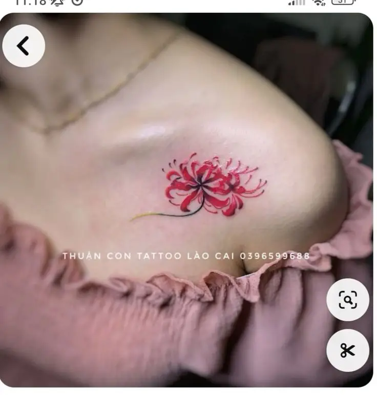Tattoo Hình Xăm Hoa Bỉ Ngạn - Vẻ Đẹp Mong Manh Nhưng Quyến Rũ 52