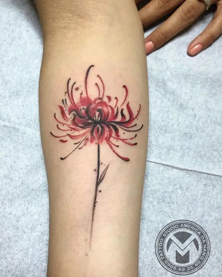 Tattoo Hình Xăm Hoa Bỉ Ngạn - Vẻ Đẹp Mong Manh Nhưng Quyến Rũ 68