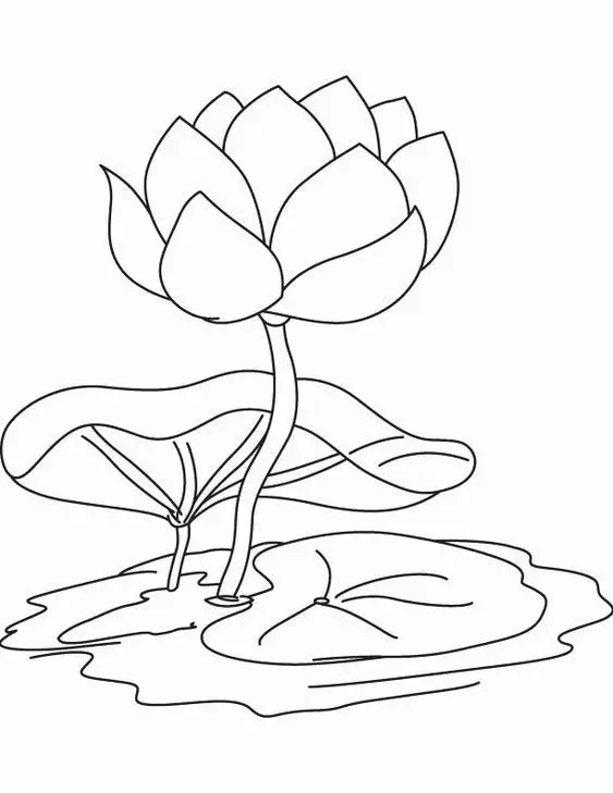 Tranh Tô Màu Cho Bé Gái 9 Tuổi - Bộ Sưu Tập Đáng Yêu 66