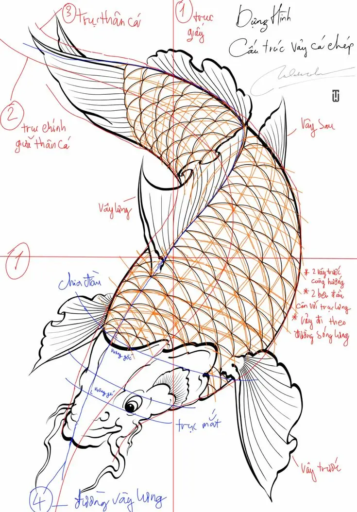 Vẽ Hình Xăm Cá Chép Độc Đáo Và Sáng Tạo 38