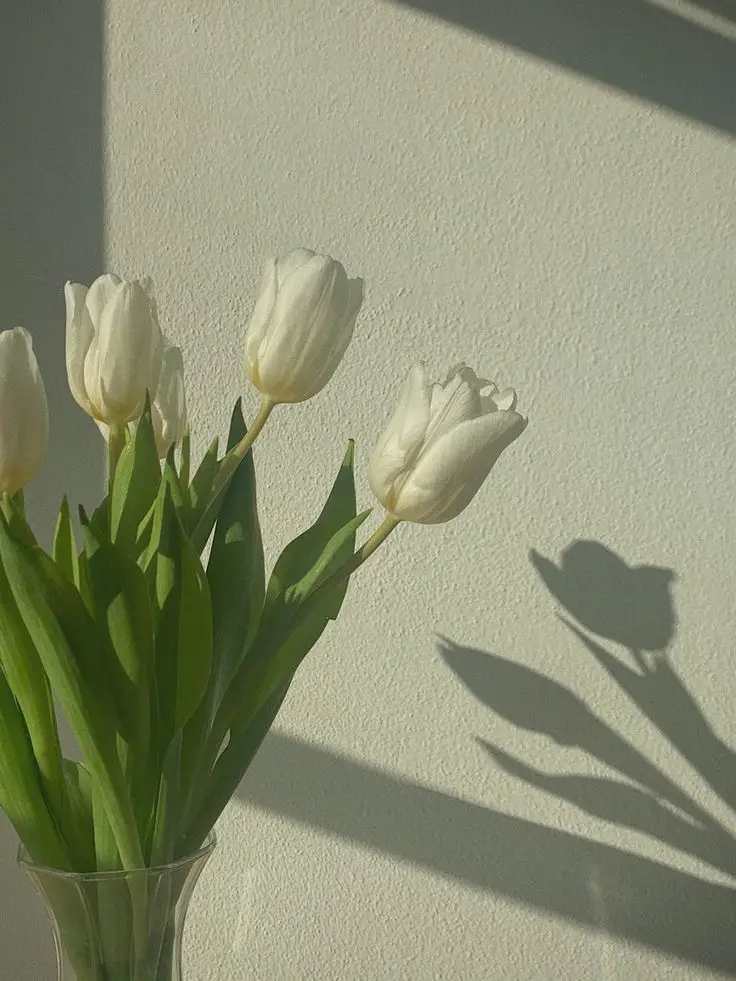 Vintage chill hình nền hoa tulip Pinterest - Khám phá bộ sưu tập tuyệt đẹp 16