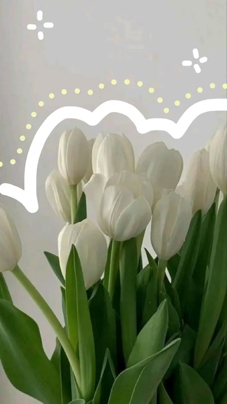 Vintage chill hình nền hoa tulip Pinterest - Khám phá bộ sưu tập tuyệt đẹp 17
