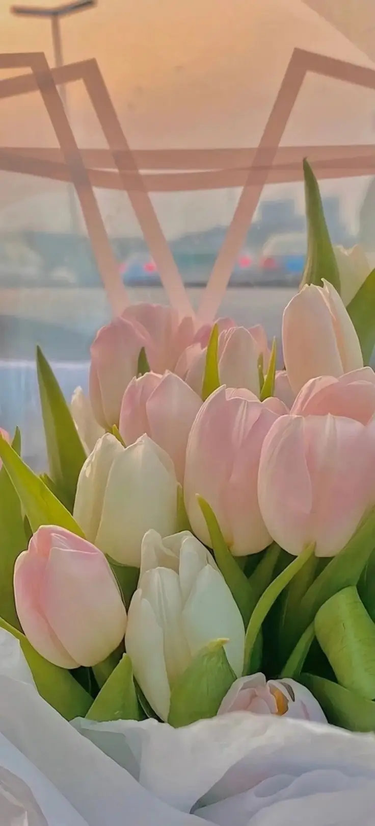 Vintage chill hình nền hoa tulip Pinterest - Khám phá bộ sưu tập tuyệt đẹp 18