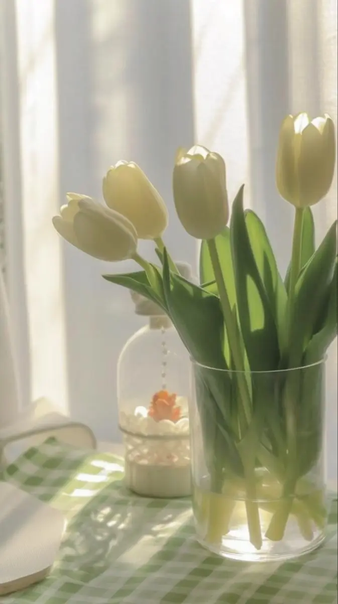 Vintage chill hình nền hoa tulip Pinterest - Khám phá bộ sưu tập tuyệt đẹp 19